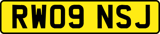RW09NSJ