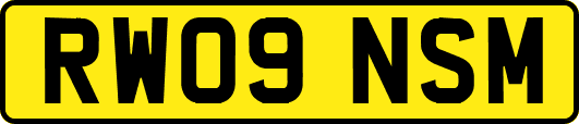 RW09NSM