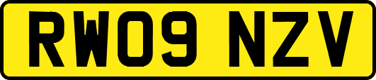 RW09NZV