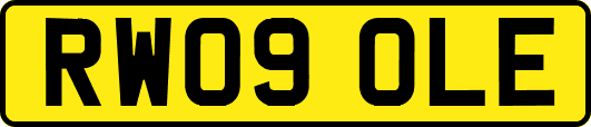 RW09OLE