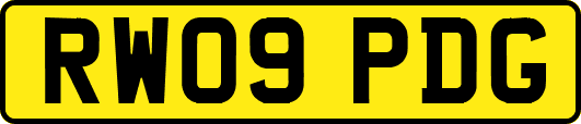 RW09PDG
