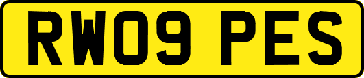 RW09PES