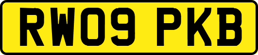 RW09PKB