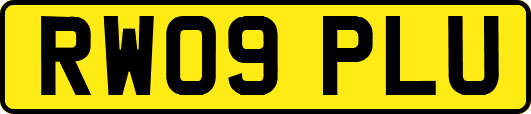 RW09PLU