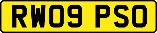 RW09PSO