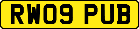 RW09PUB