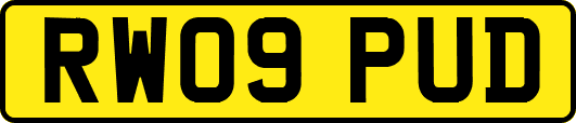 RW09PUD