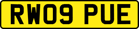 RW09PUE