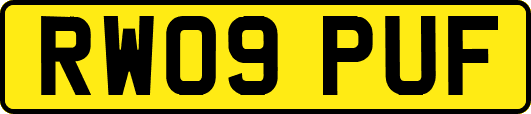 RW09PUF