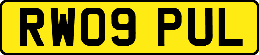 RW09PUL