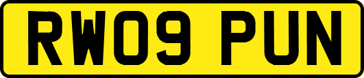 RW09PUN