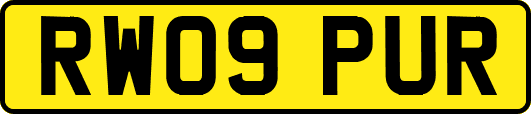 RW09PUR