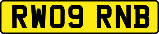 RW09RNB