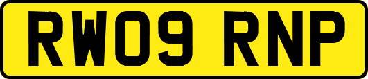 RW09RNP