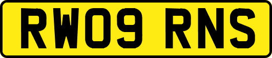 RW09RNS