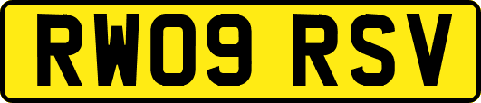 RW09RSV