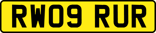 RW09RUR