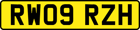 RW09RZH