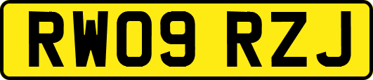 RW09RZJ