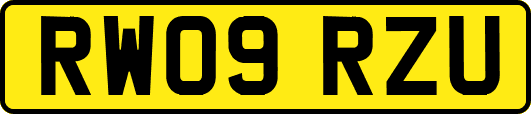 RW09RZU
