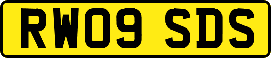 RW09SDS