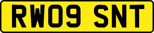 RW09SNT