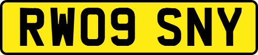 RW09SNY