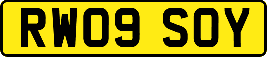 RW09SOY
