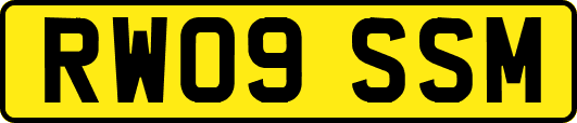 RW09SSM