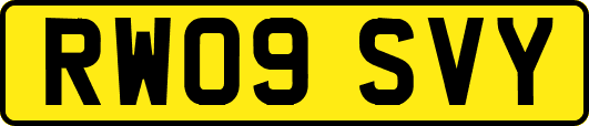 RW09SVY