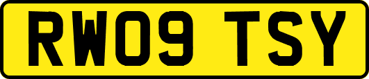 RW09TSY