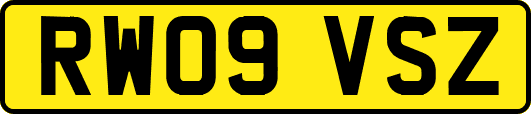 RW09VSZ