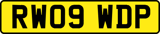 RW09WDP