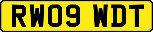 RW09WDT