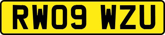 RW09WZU