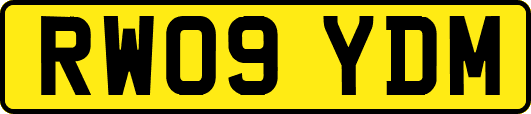 RW09YDM