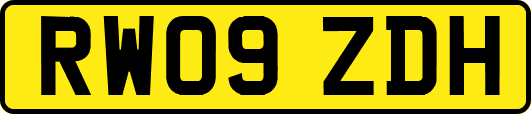 RW09ZDH