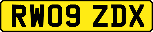 RW09ZDX