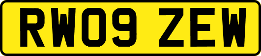 RW09ZEW