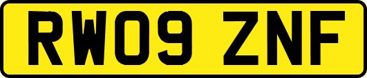 RW09ZNF
