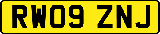 RW09ZNJ