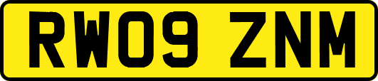 RW09ZNM