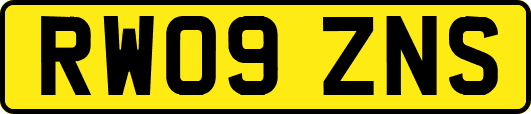 RW09ZNS