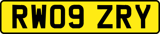 RW09ZRY