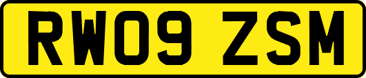 RW09ZSM