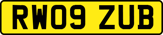 RW09ZUB