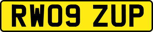 RW09ZUP