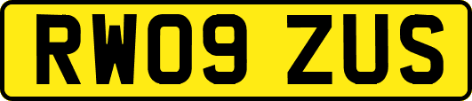 RW09ZUS