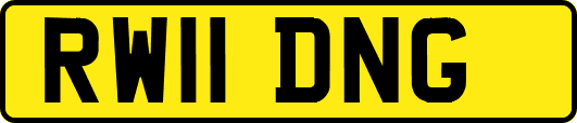RW11DNG