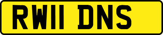 RW11DNS